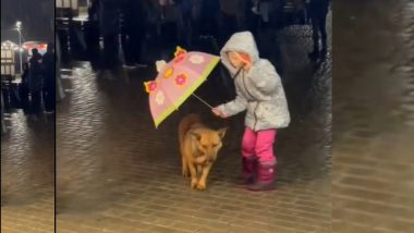 Viral Video: पावसात भिजत होता कुत्रा, चिमुकलीने उघडली छत्री, पहा सुंदर व्हिडिओ